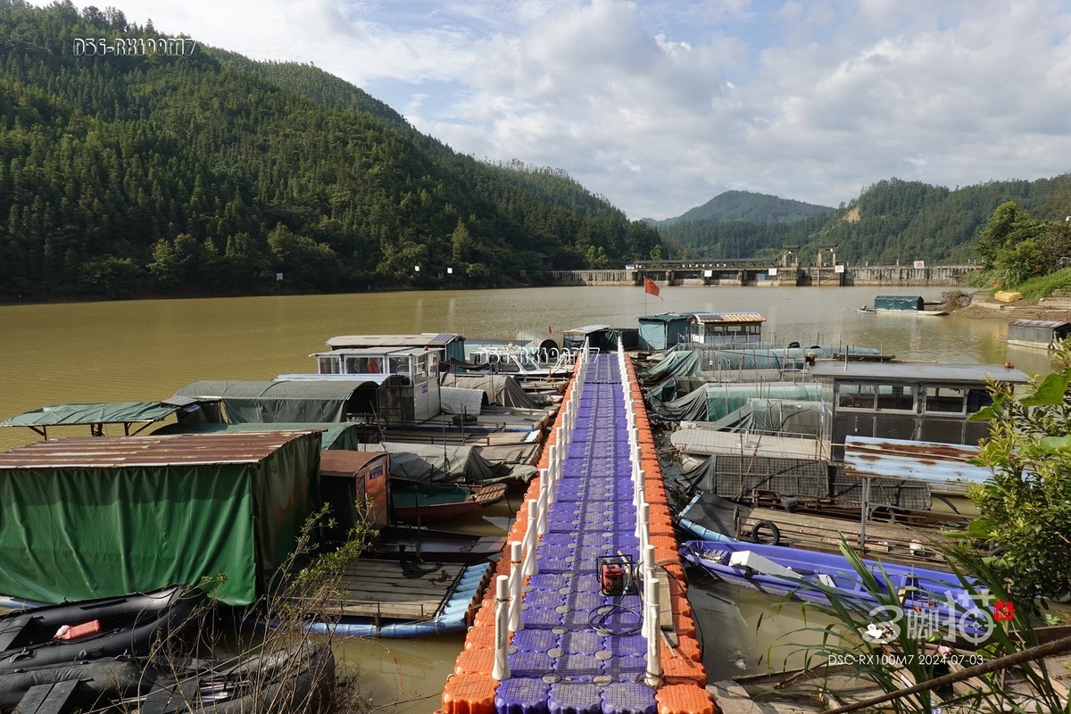 黑卡100M7随手拍