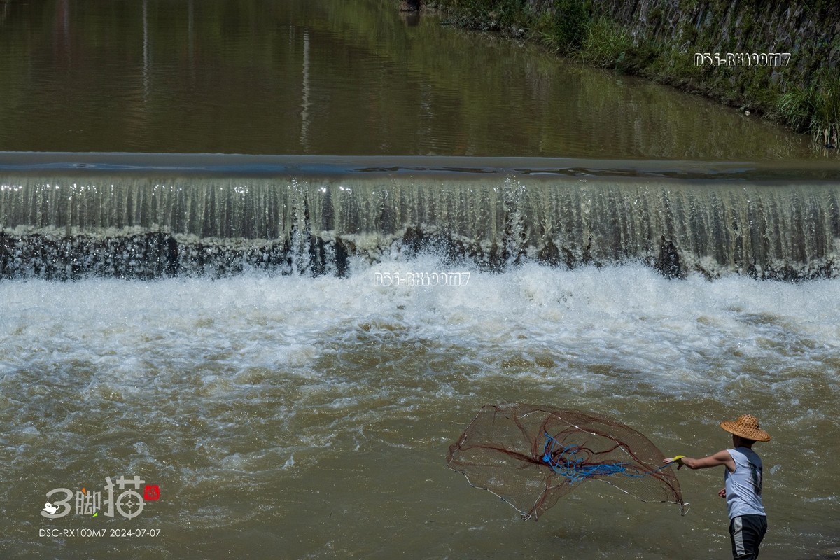 黑卡100M7随手拍