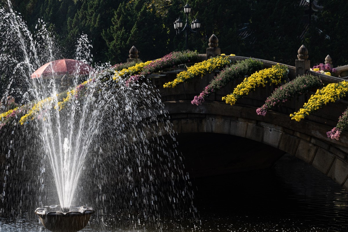 黄花文化节（11）