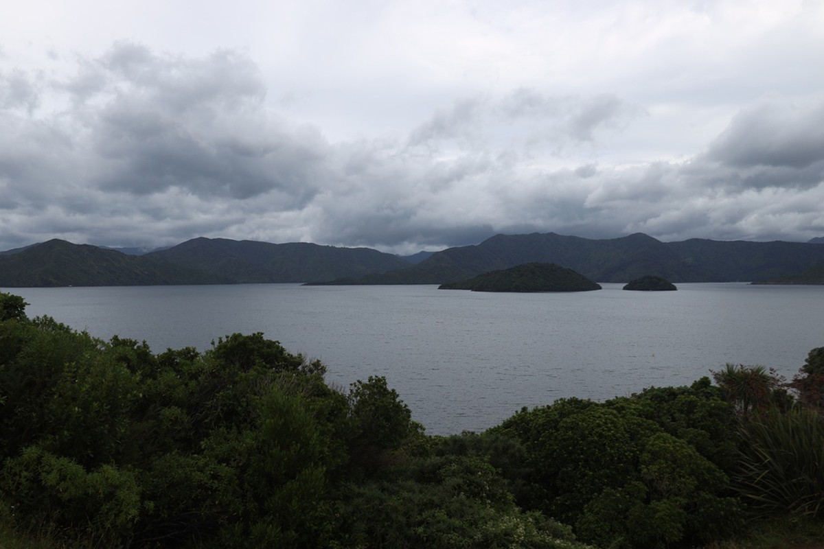 马尔堡峡湾游拍