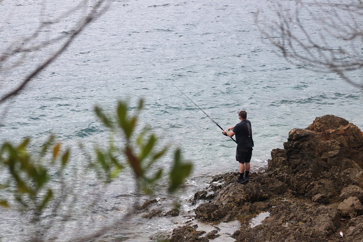 马尔堡峡湾游拍