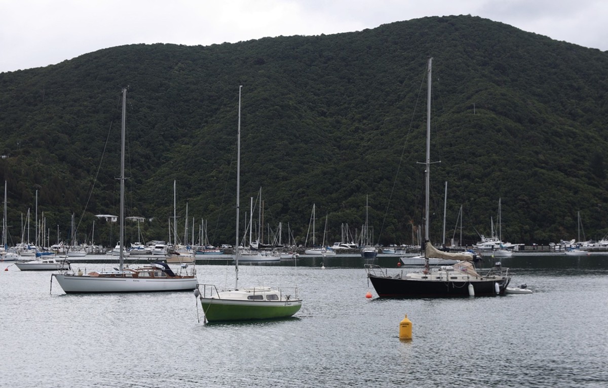 马尔堡峡湾游拍