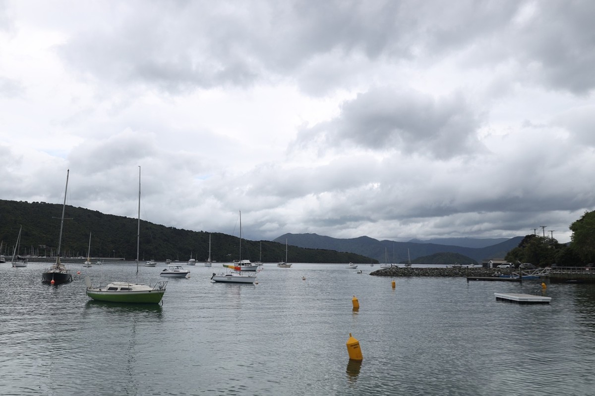 马尔堡峡湾游拍