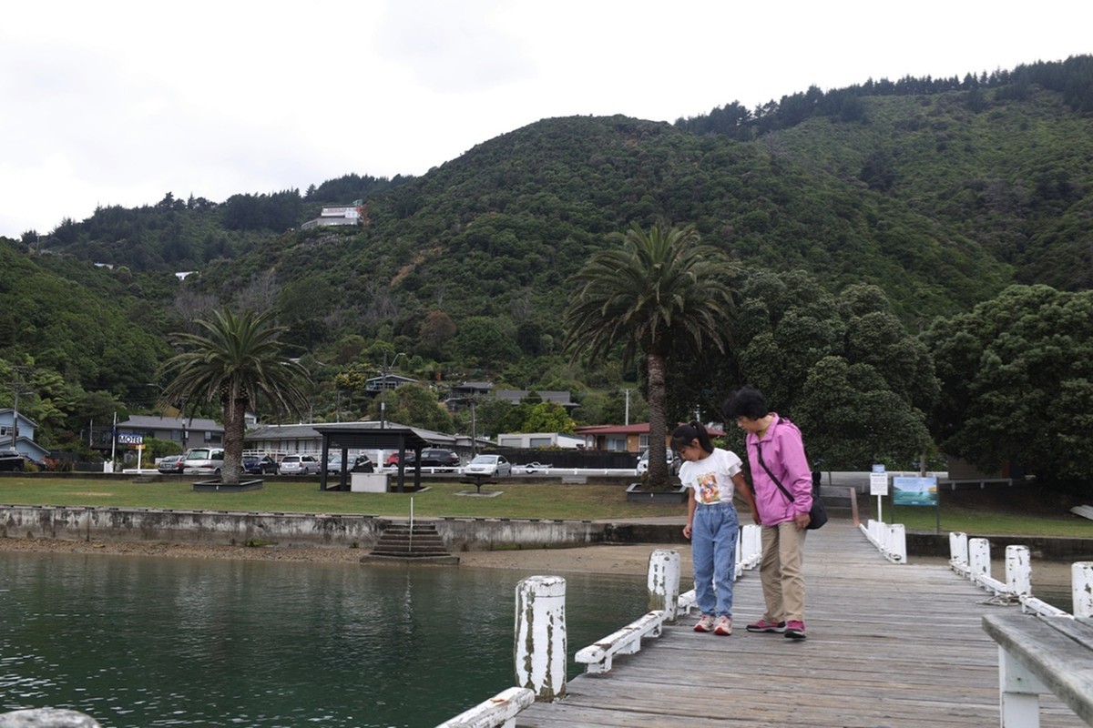 马尔堡峡湾游拍