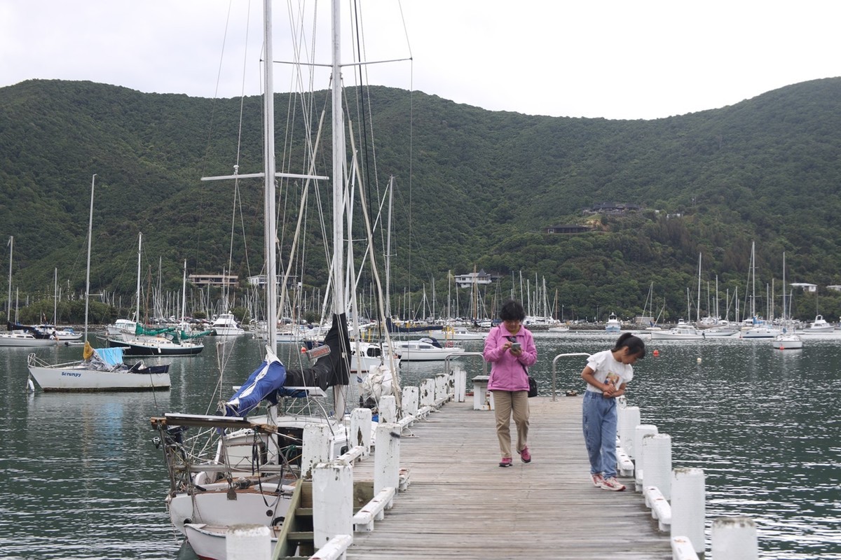 马尔堡峡湾游拍