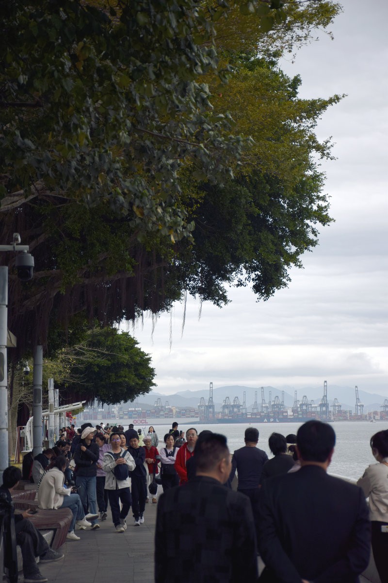 2025春节 广东行（108）中英街