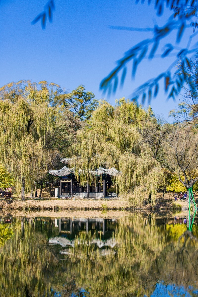 外出随拍（续339）.