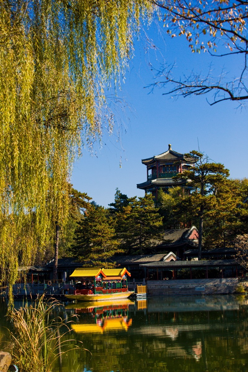 外出随拍（续339）.