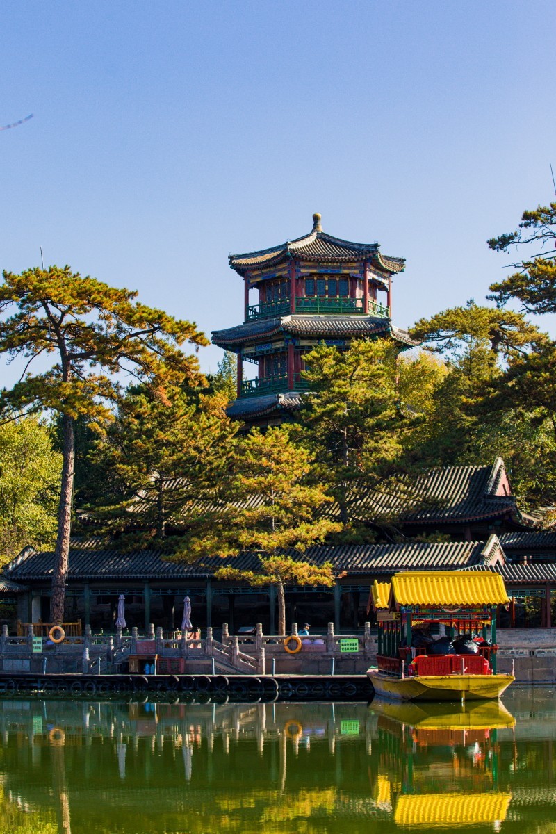 外出随拍（续339）.