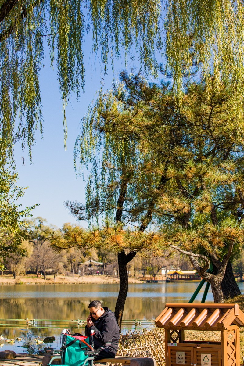 外出随拍（续339）.