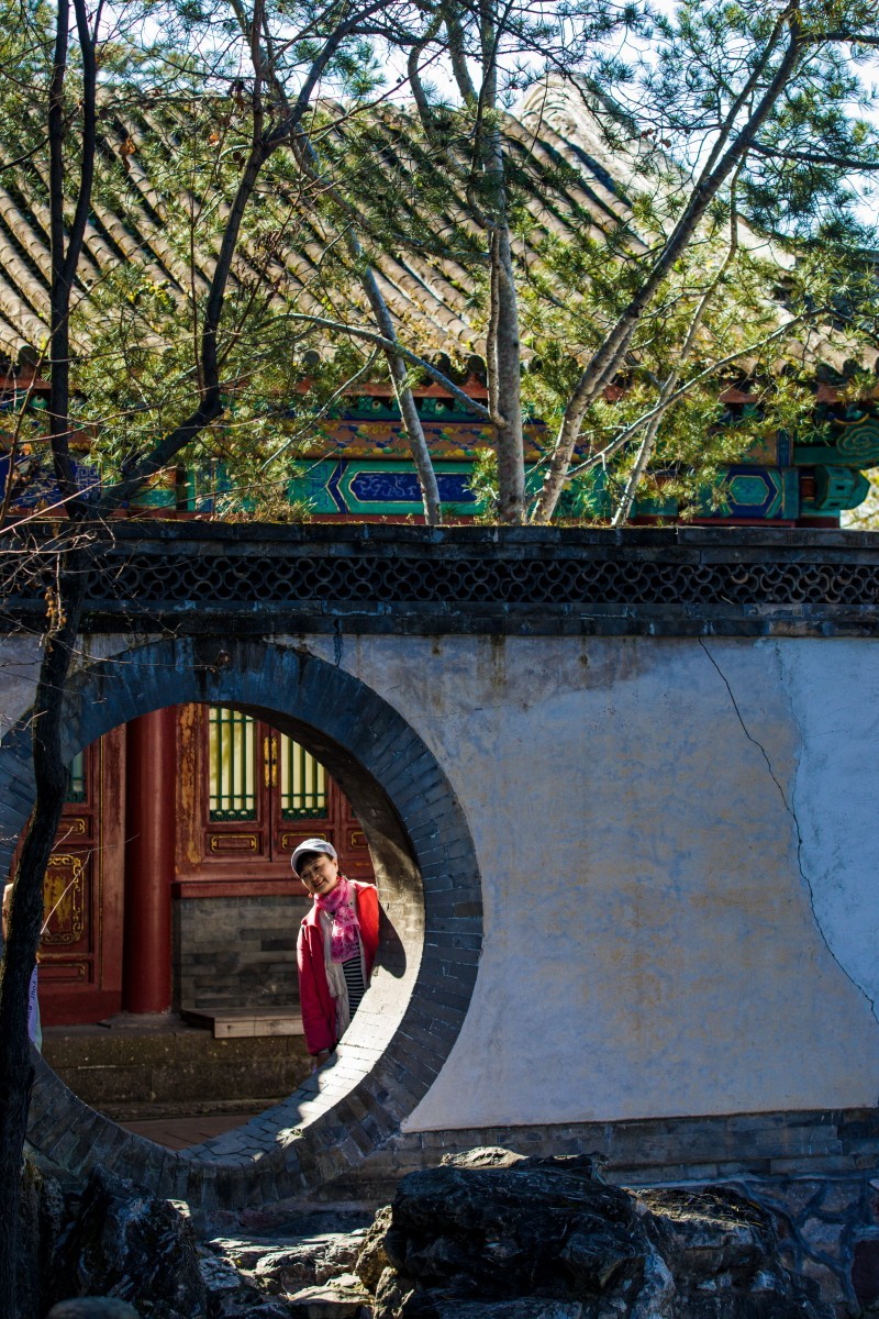 外出随拍（续339）.