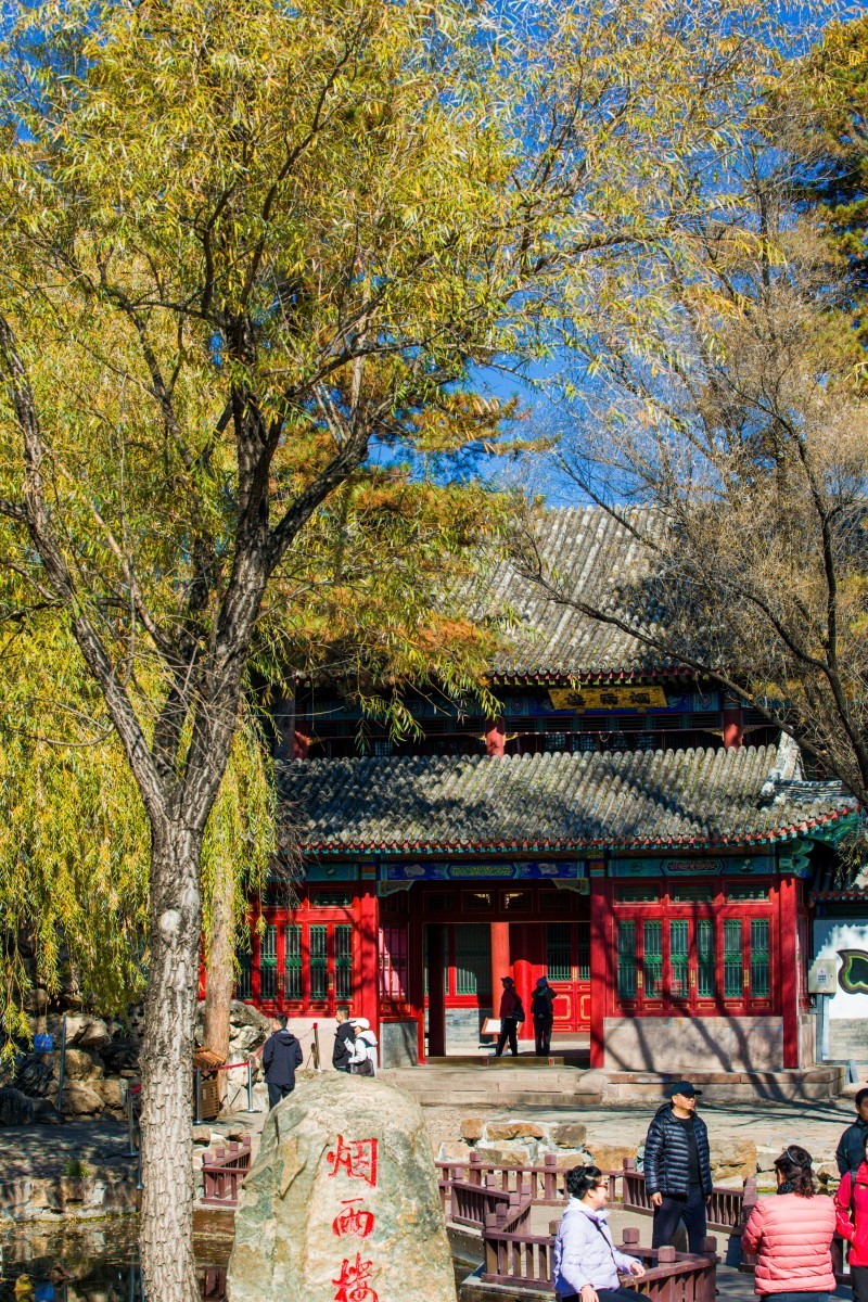 外出随拍（续339）.