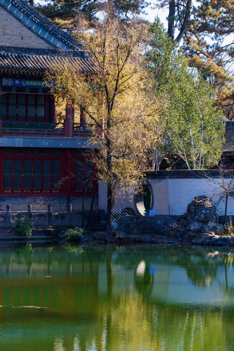 外出随拍（续339）.