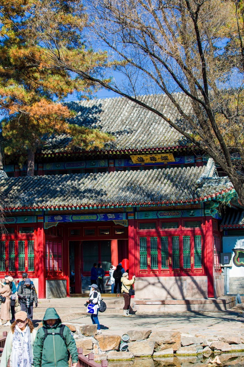 外出随拍（续339）.