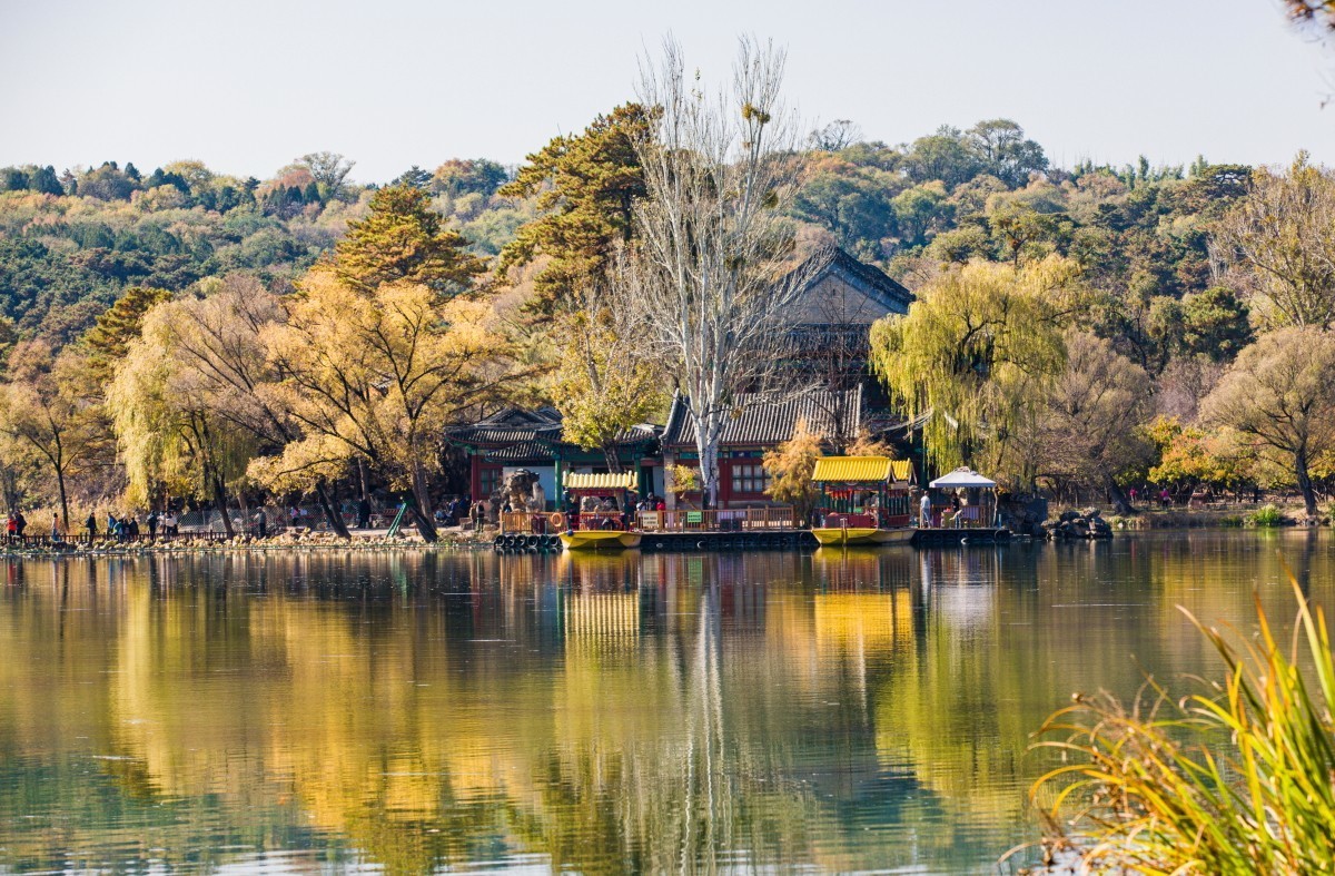 外出随拍（续340）.