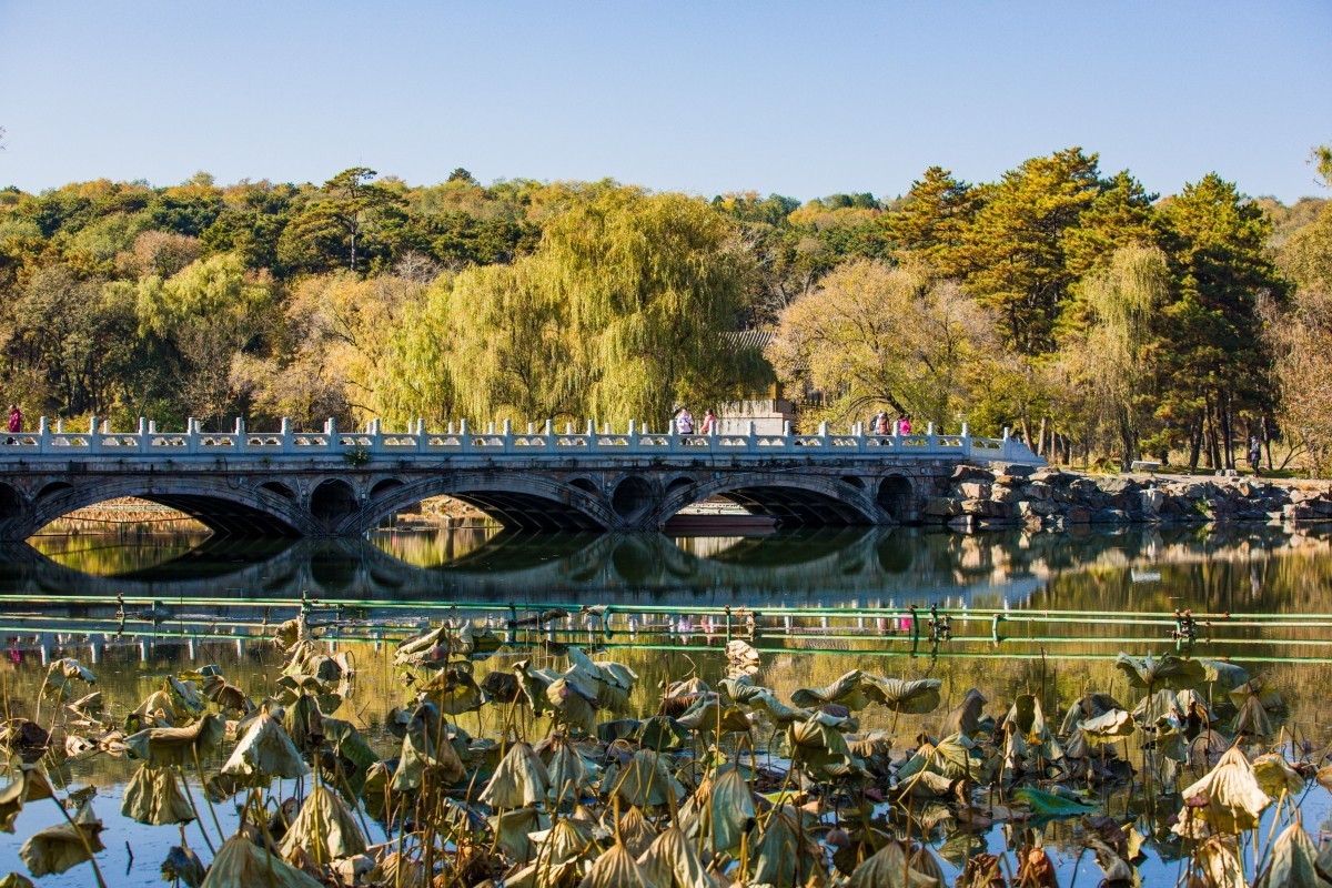 外出随拍（续340）.