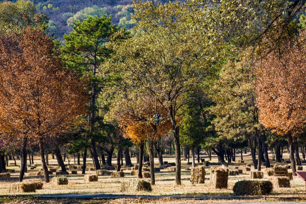 外出随拍（续340）.