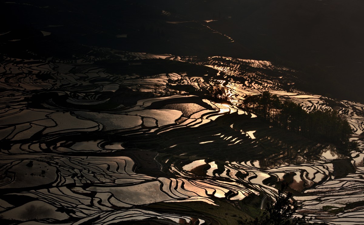 元阳梯田【19】