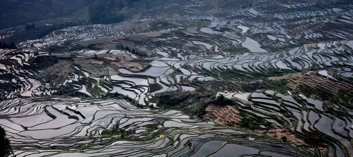 元阳梯田【19】