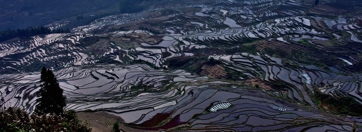元阳梯田【19】
