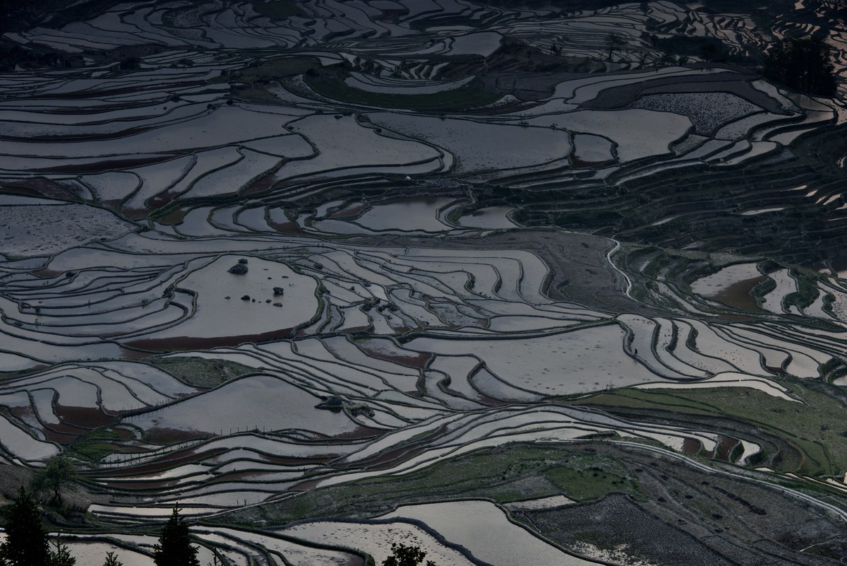 元阳梯田【19】
