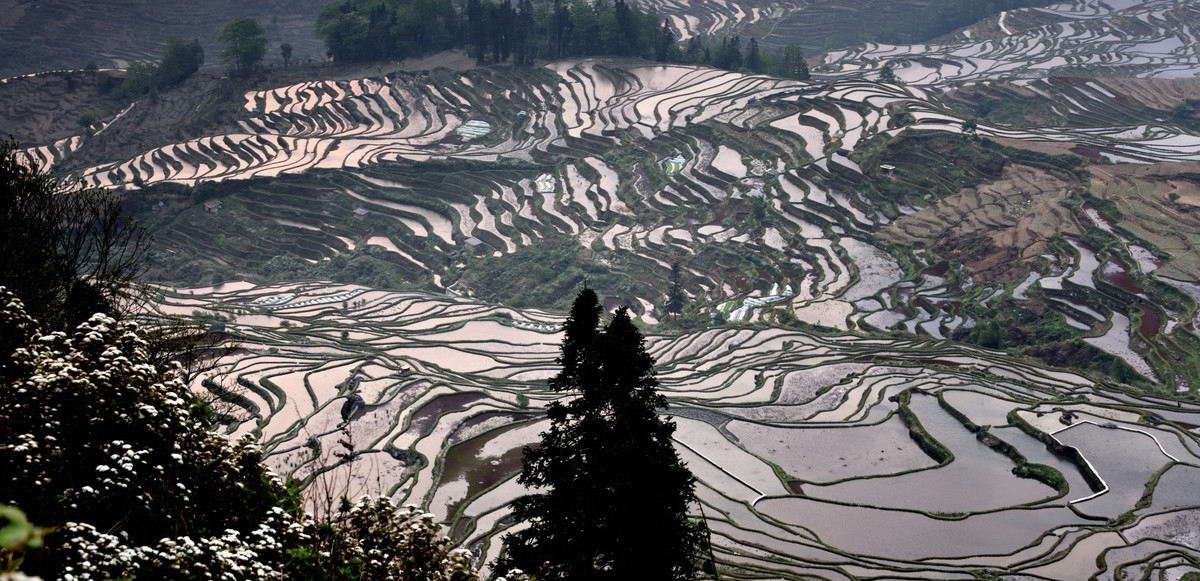 元阳梯田【19】