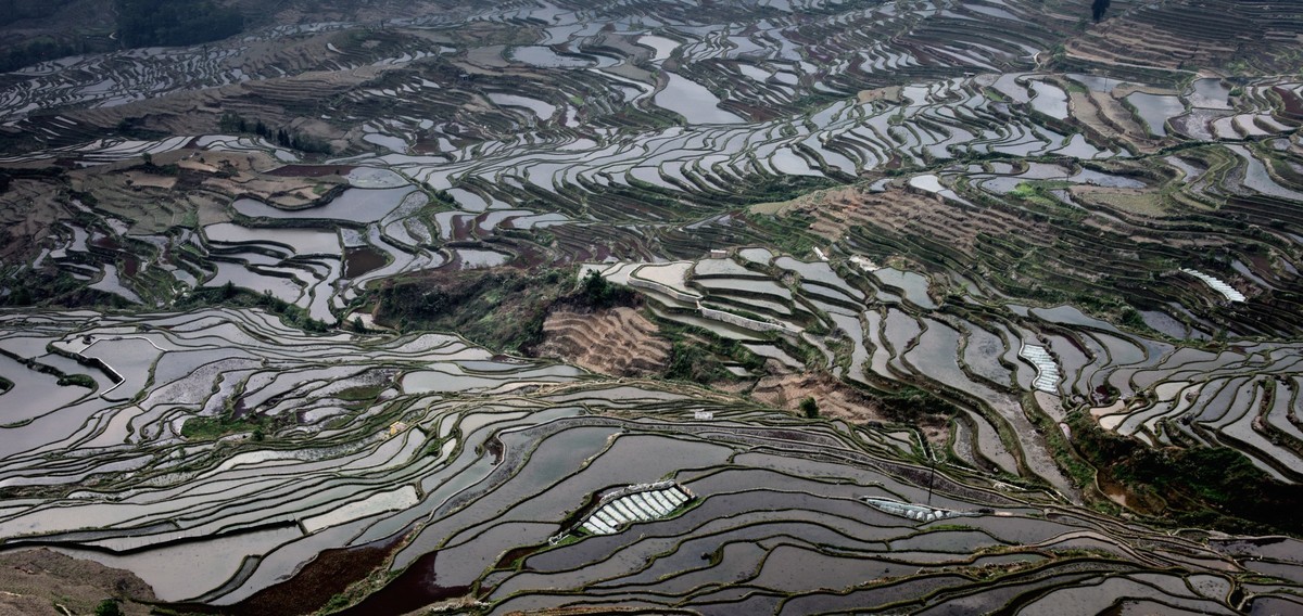 元阳梯田【19】