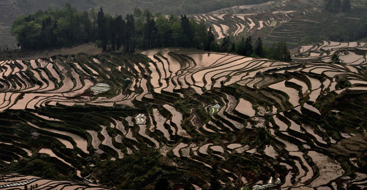 元阳梯田【19】