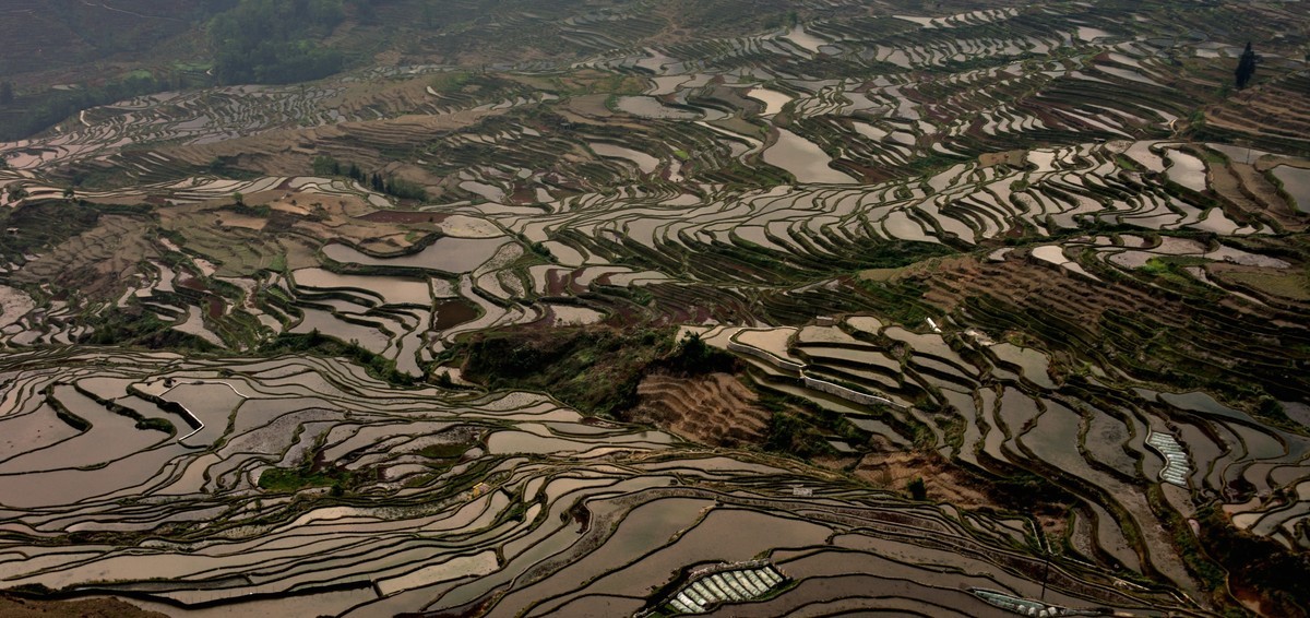 元阳梯田【19】