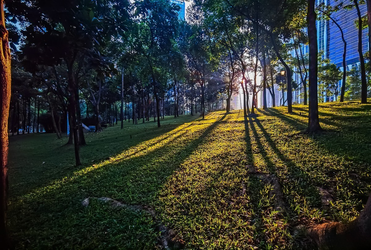 深圳公园掠影