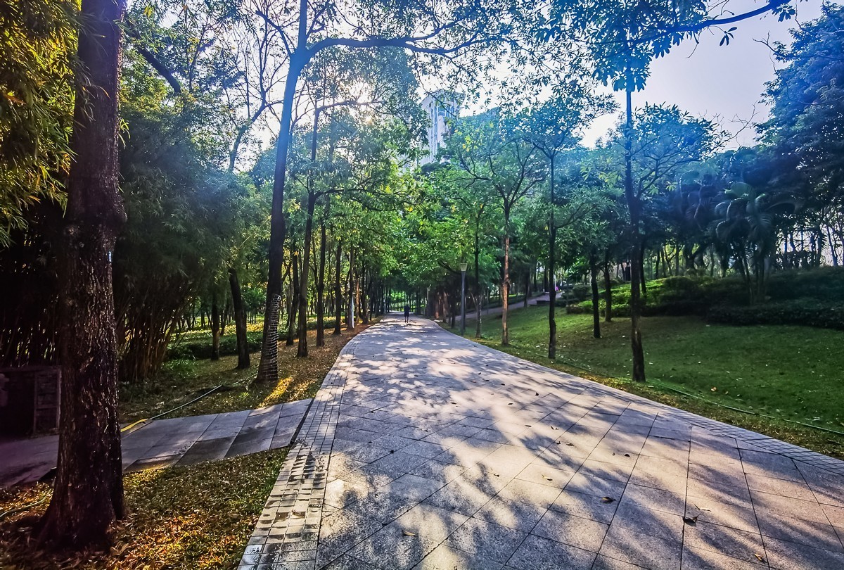 深圳公园掠影