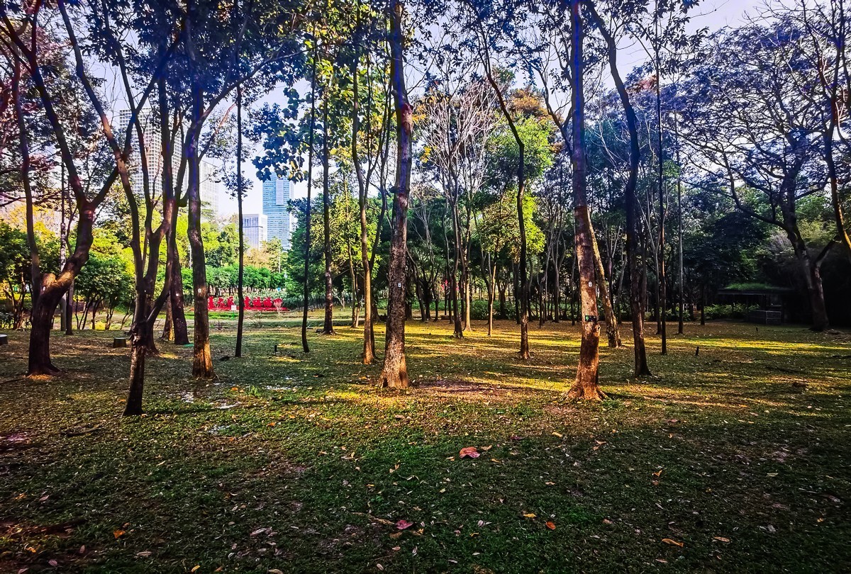 深圳公园掠影