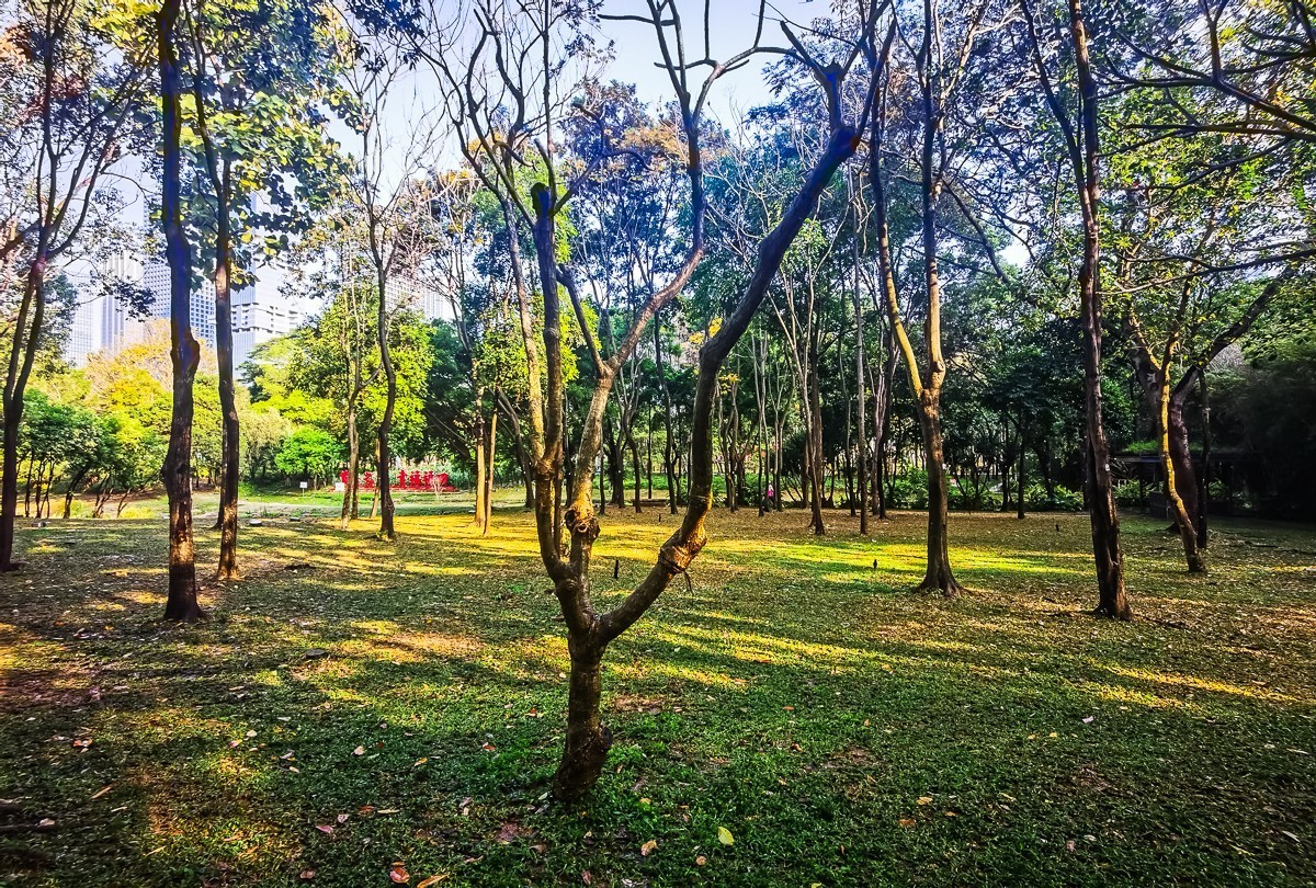 深圳公园掠影