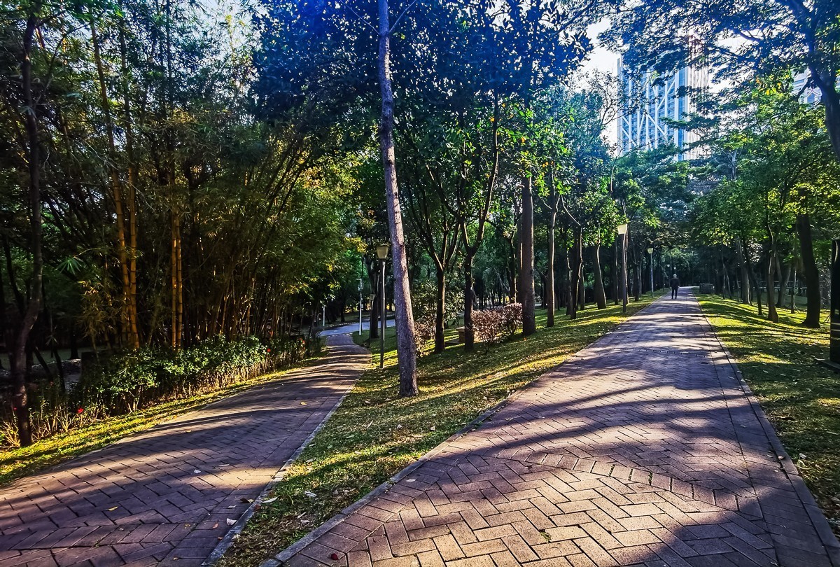 深圳公园掠影