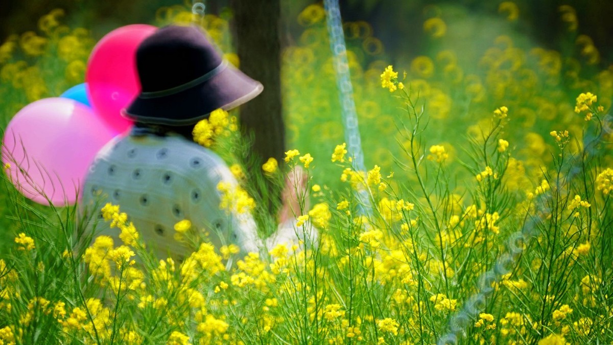 大 连 华 家 牡 丹 园 （ 二 ）