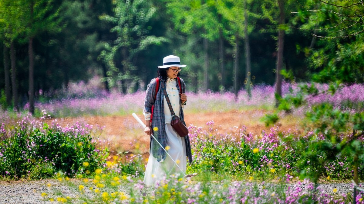 大 连 华 家 牡 丹 园 （ 二 ）