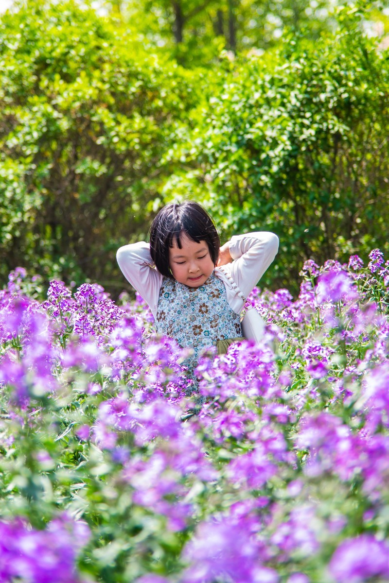 大 连 华 家 牡 丹 园 （ 二 ）