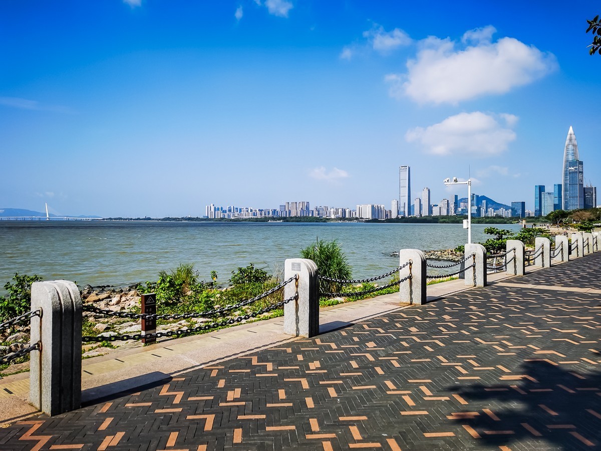 深圳湾公园掠影