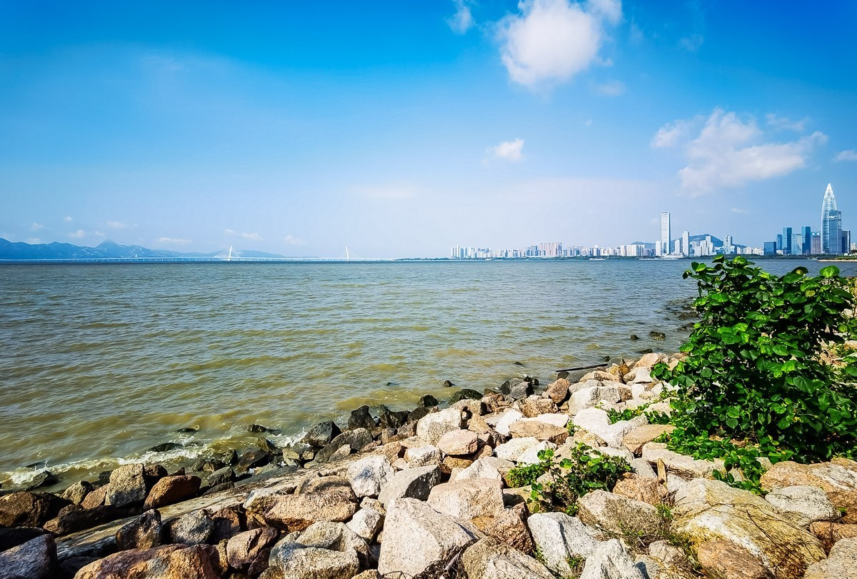 深圳湾公园掠影