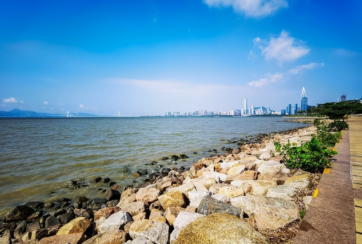 深圳湾公园掠影