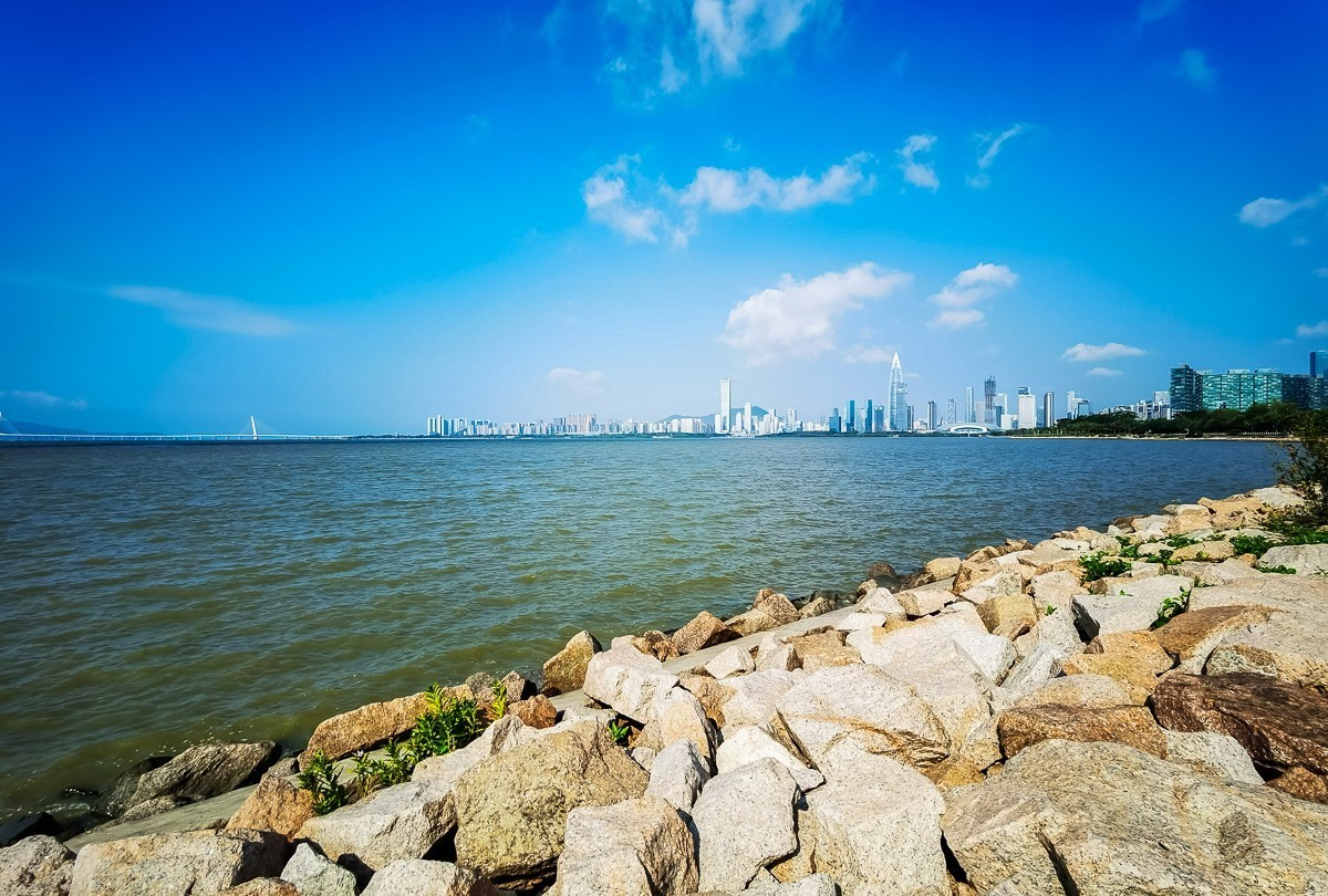 深圳湾公园掠影