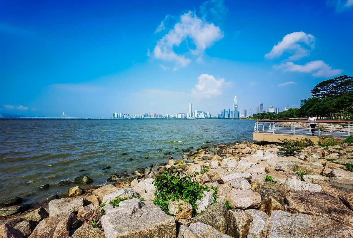 深圳湾公园掠影