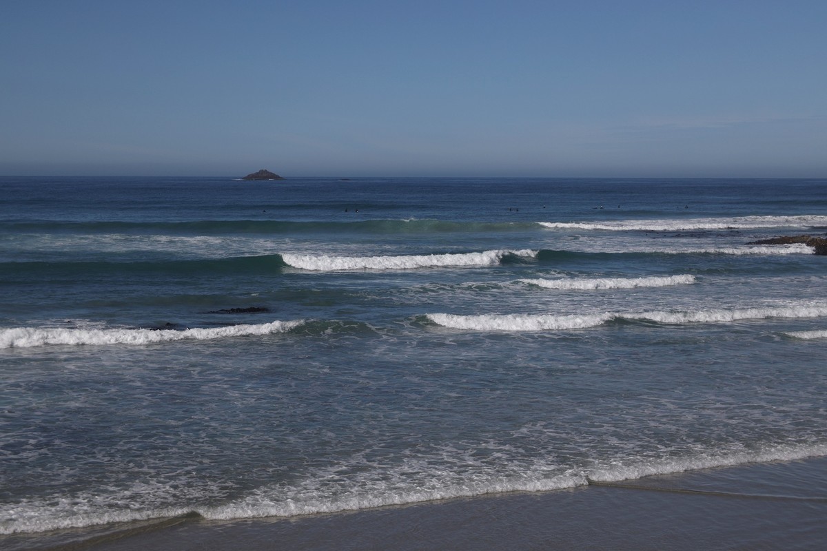 海边随拍（七）