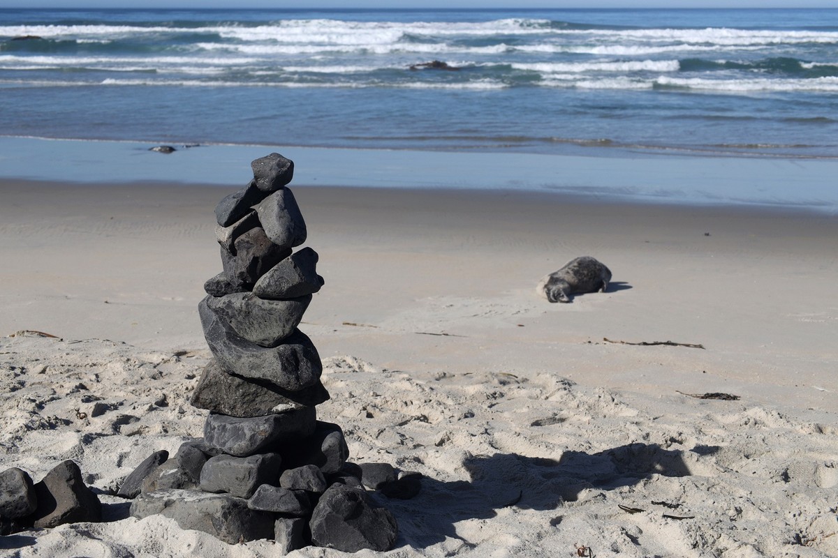 海边随拍（七）