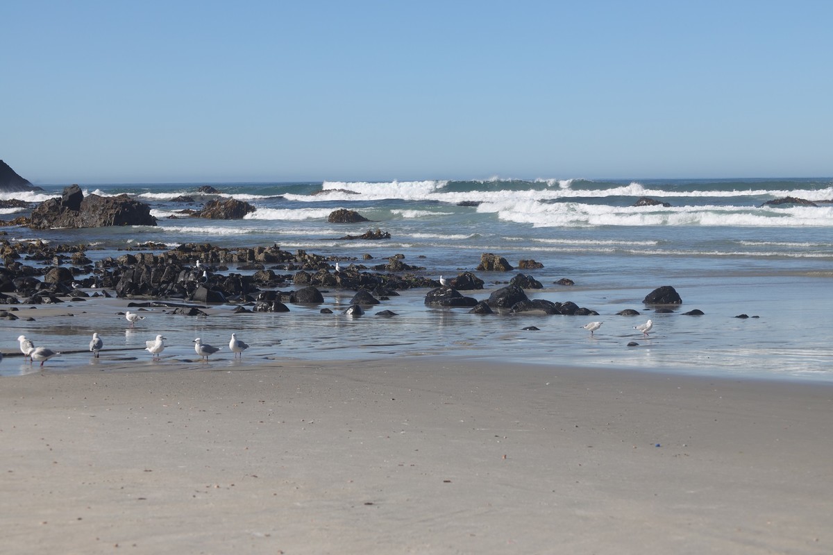 海边随拍（七）