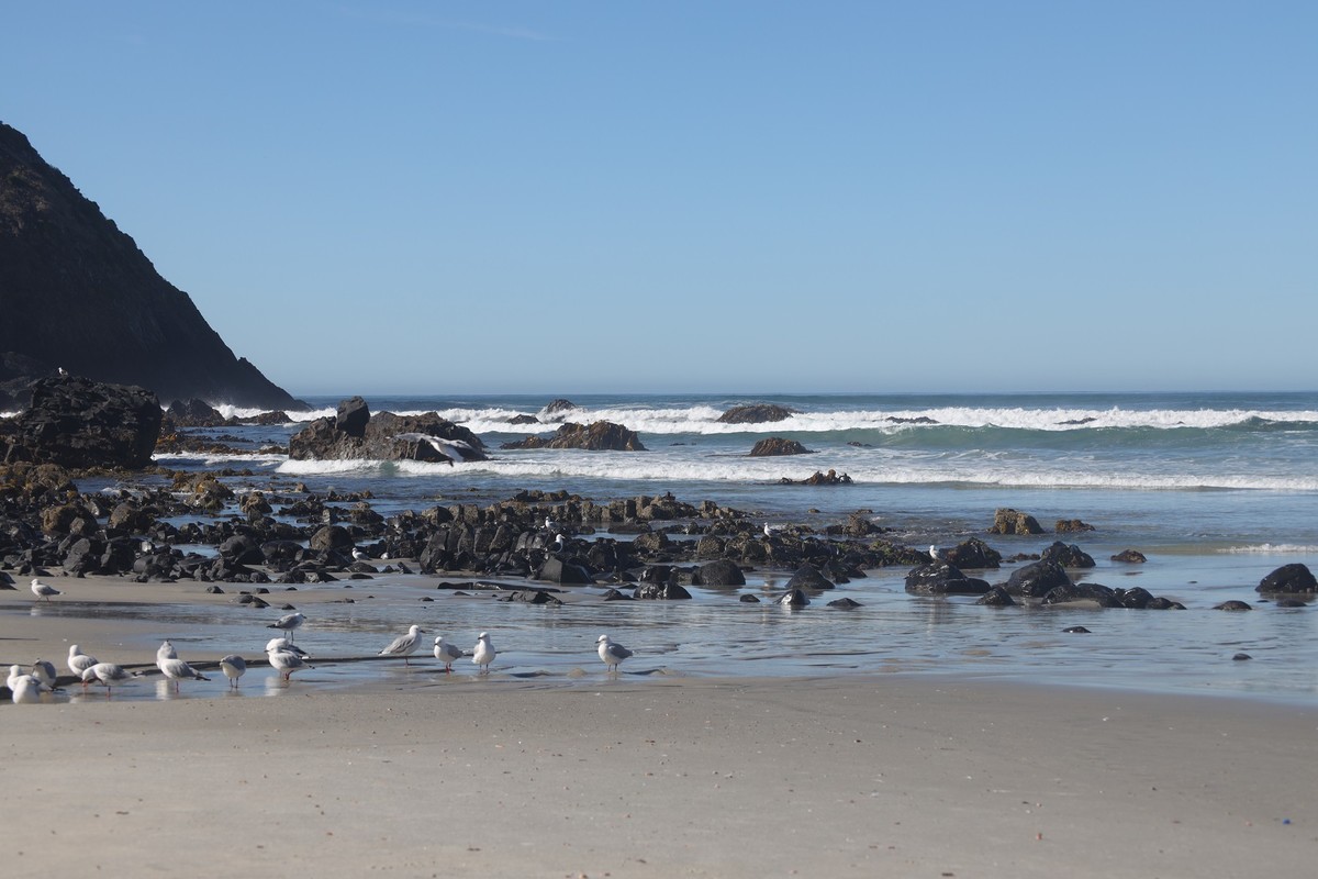 海边随拍（七）