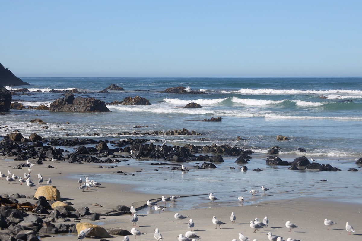 海边随拍（七）