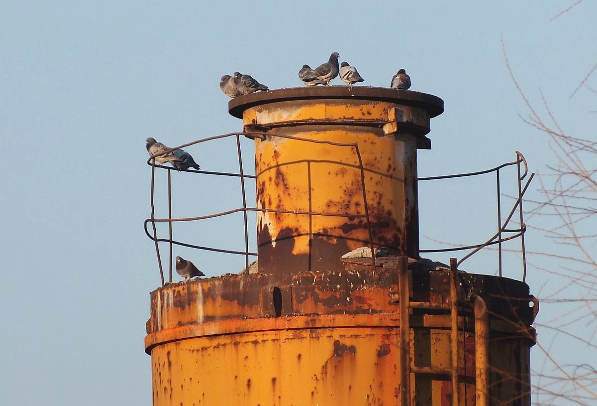 都已成为过去-11P