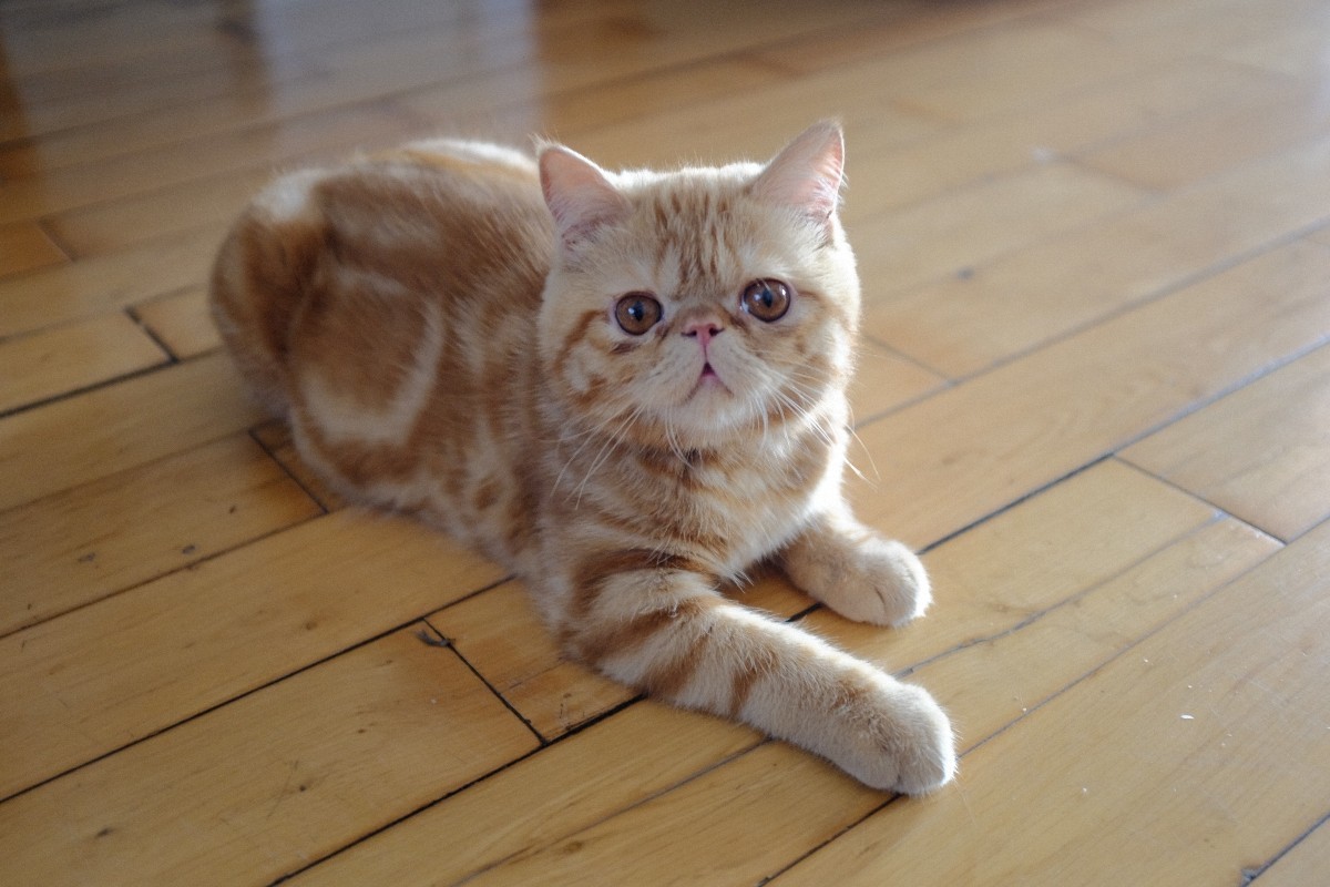 第一次买二手相机，再次有了富士