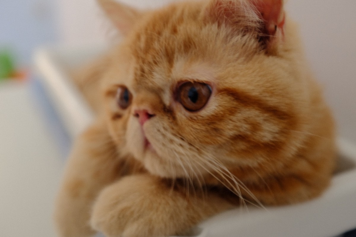 第一次买二手相机，再次有了富士